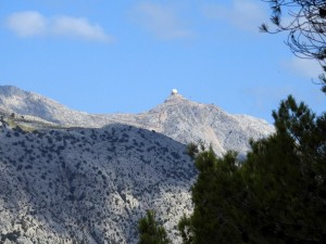 DSCN3689