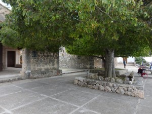 DSCN3699