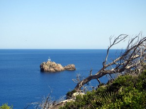 DSCN3864