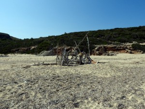 DSCN3889