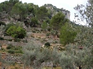 DSCN0804