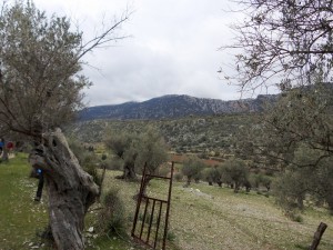 DSCN0835