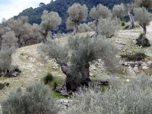 DSCN0837