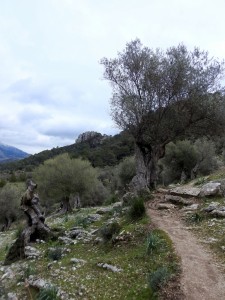 DSCN0845