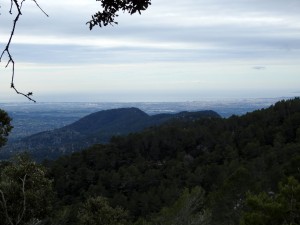 DSCN0854