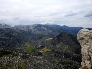 DSCN0878