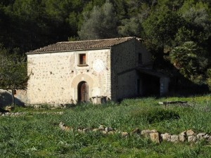 DSCN1060