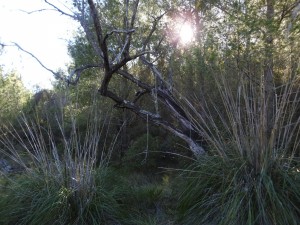 DSCN1063