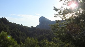 DSCN4557
