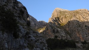 DSCN4661