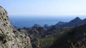 DSCN4674