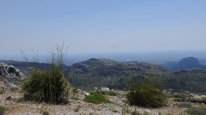 DSCN4777